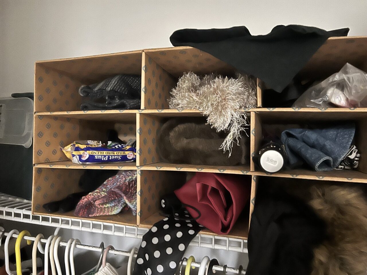 Closet cubby organizer