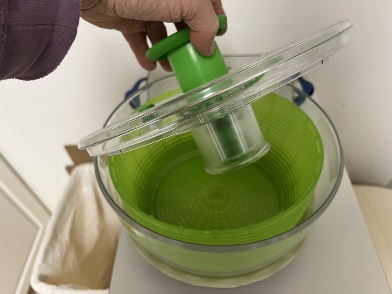 Salad spinner