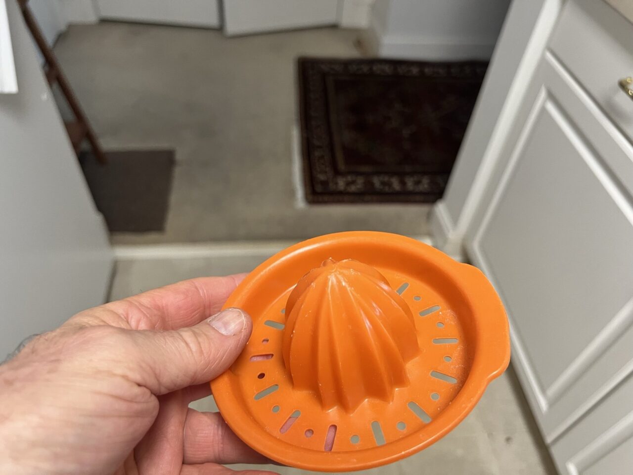Orange citrus juicer