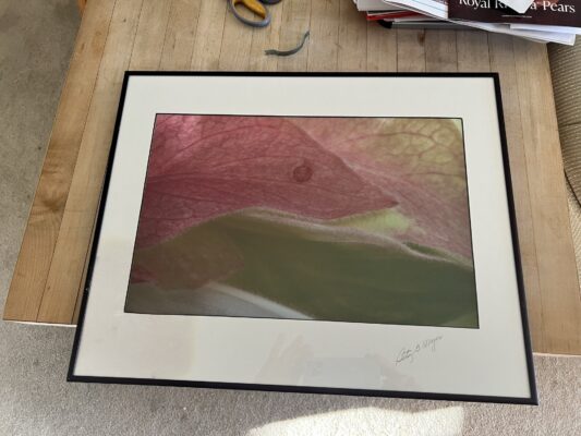 Framed Mom pink and green print